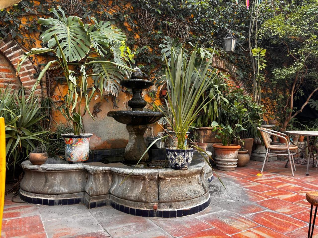 Casa Tlaquepaque Hotel Galeria Exteriér fotografie